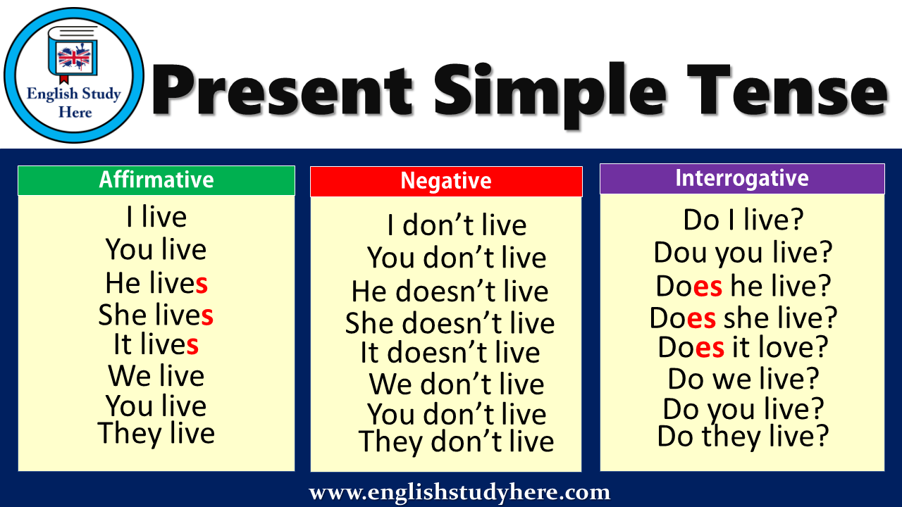 simple-past-tense-positive-negative-question-examples-english