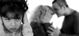 Porodični zakon-Nasilje u porodici
