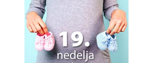 19-ndelja-trudnoce